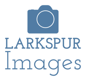 Larkspur Images